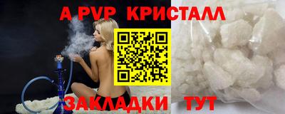 крисы Братск